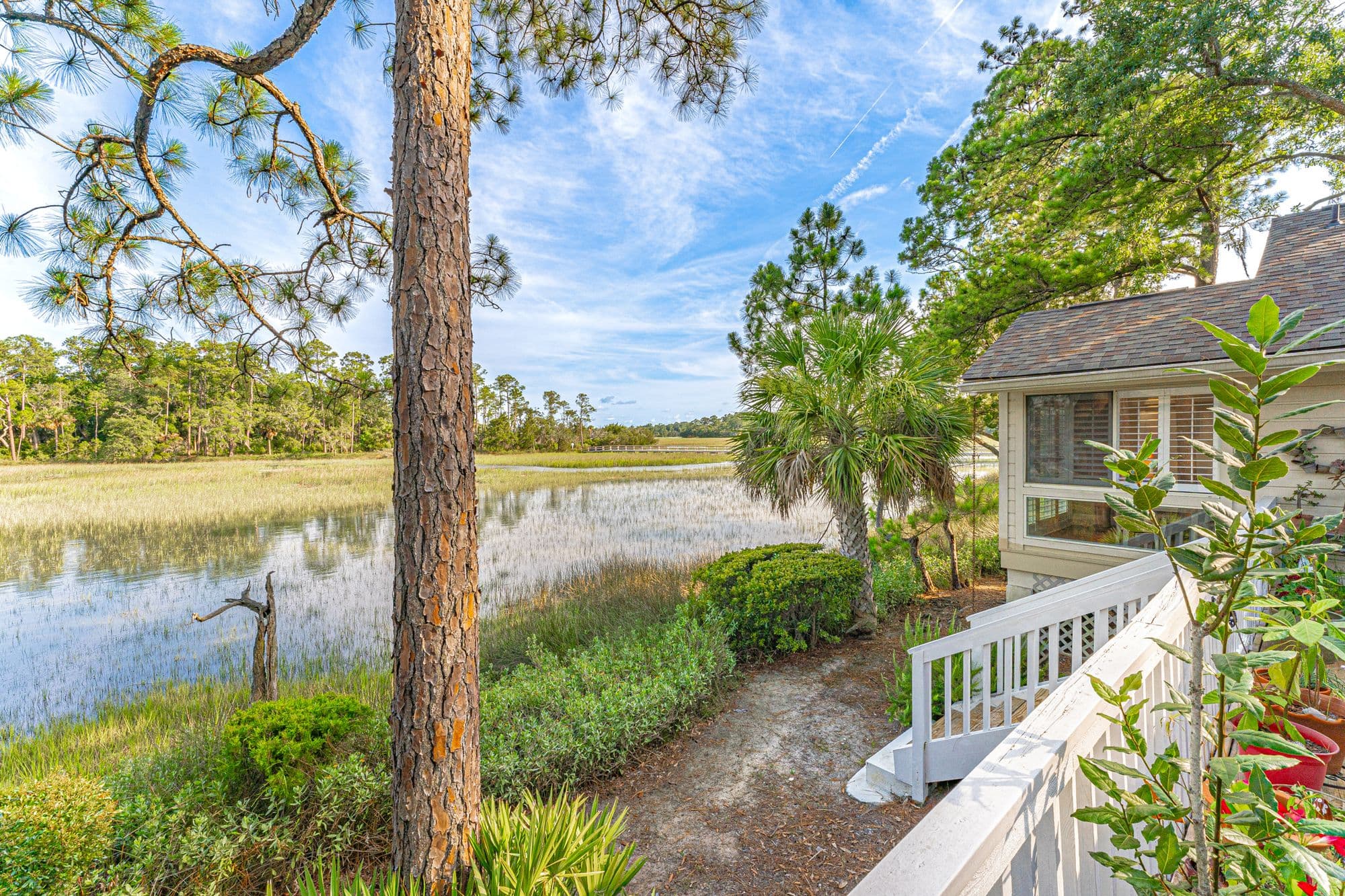 View across the Lowcountry marsh through tall pines from a home in Moss Creek, Bluffton